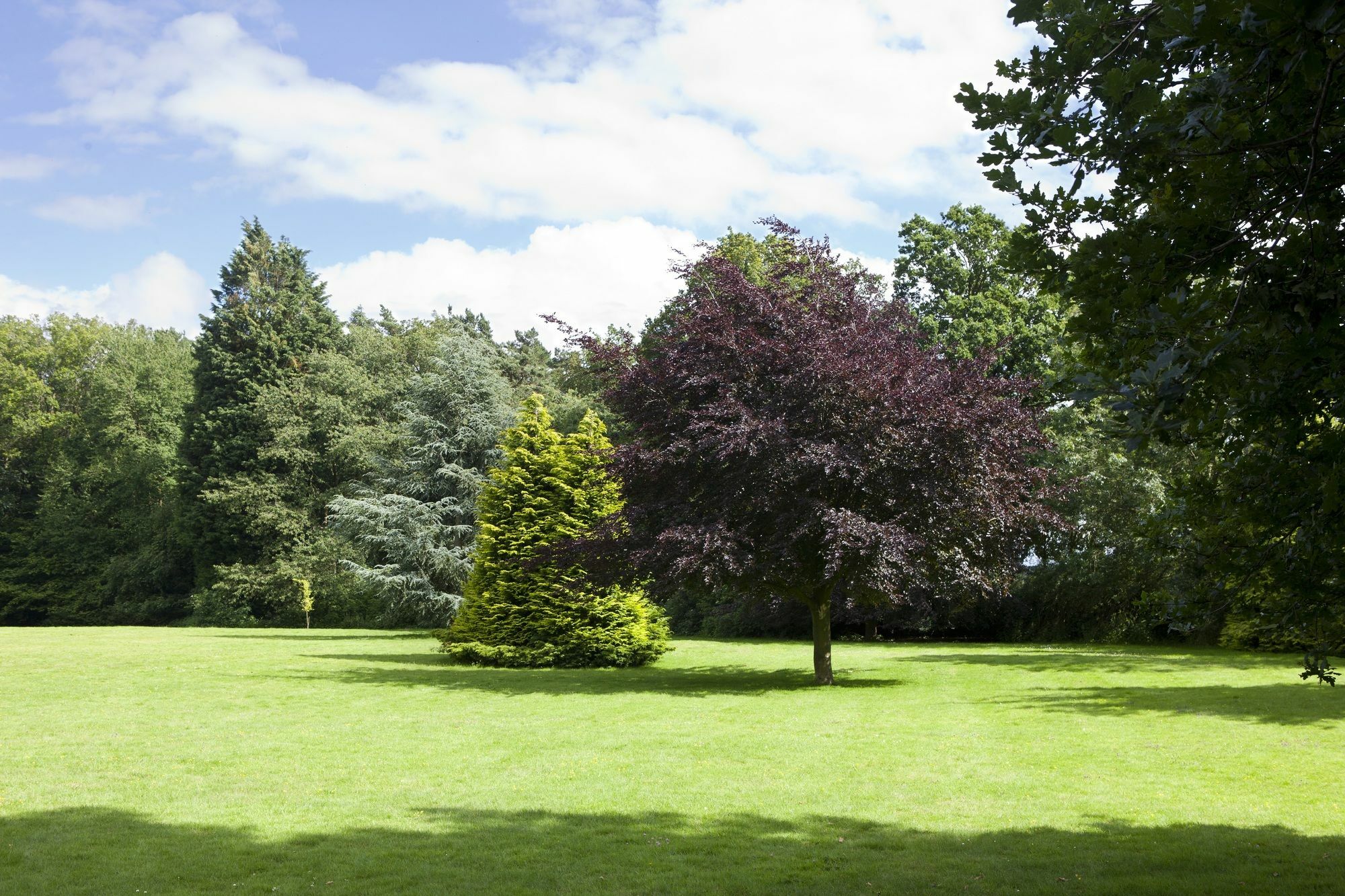 Audleys Wood Hotel, 4* Бэйсингсток